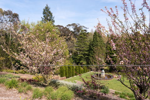 Leura Gardens Festival - Cancelled - eAccommodation 2
