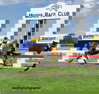 Moree Race Club TAB Race Day - eAccommodation