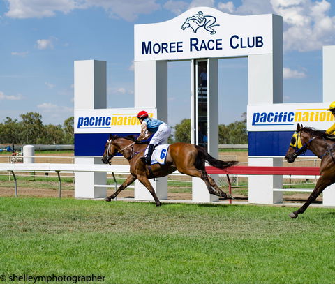 Moree Race Club TAB Race Day - eAccommodation 0