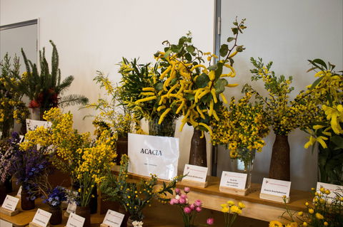 Pomonal Native Flower Show - eAccommodation 0