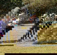 Sculpture for Clyde - Outdoor Exhibition - eAccommodation