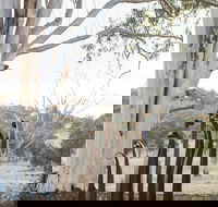 Sculptures in the Garden - eAccommodation