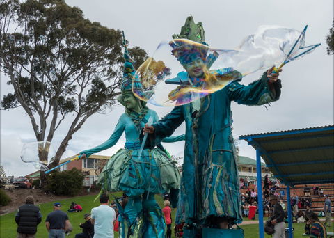 Tulip Festival Wynyard - eAccommodation 0