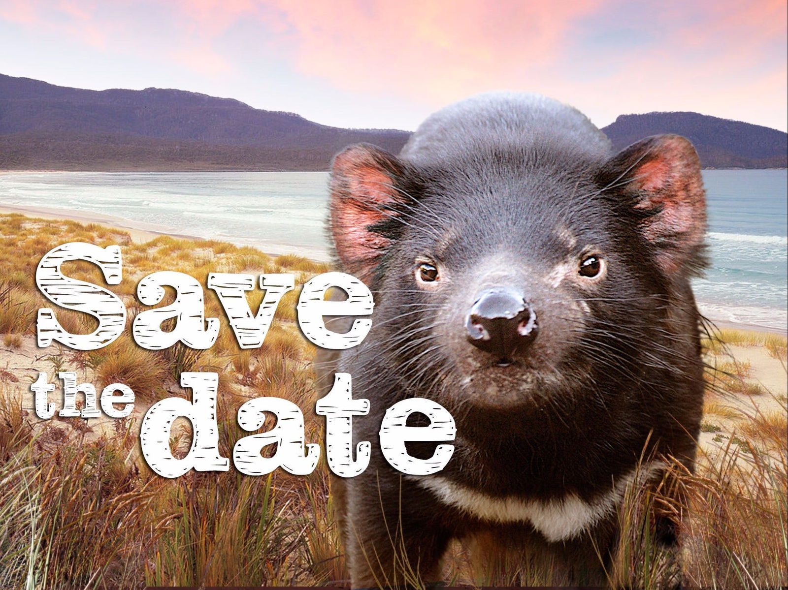 Baden TAS eAccommodation