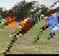 Veterans Touch Footy Carnival - eAccommodation