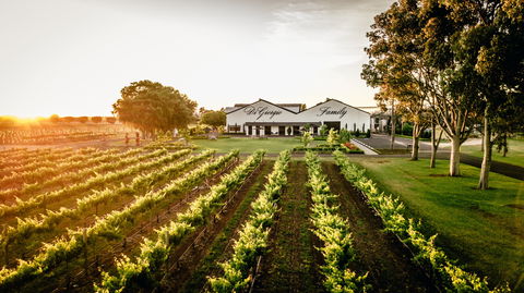 Aged Wine And Vintage Pies - eAccommodation 2