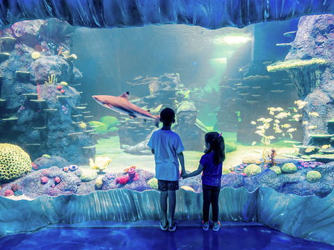Sydney's Aquarium - eAccommodation 1