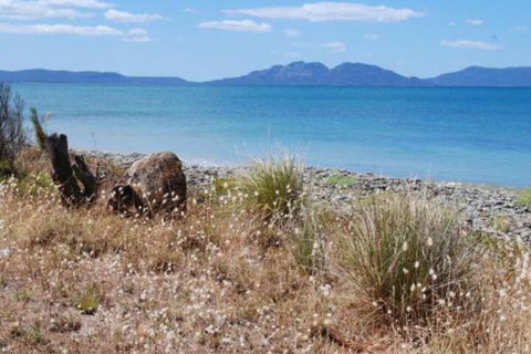 Schouten House - eAccommodation 1