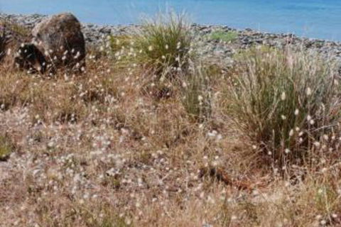 Schouten House - eAccommodation 0