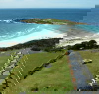 Diamond Island Resort  Bicheno Penguin Show - eAccommodation