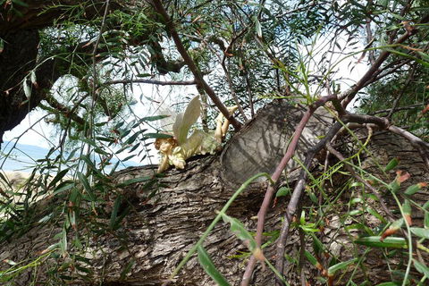 Swansea Motor Inn - eAccommodation 1