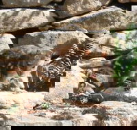 Jenolan Caves House - eAccommodation