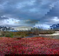 Saintys Creek Cottage - eAccommodation