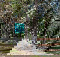 Blueberry Hills On Comleroy - eAccommodation