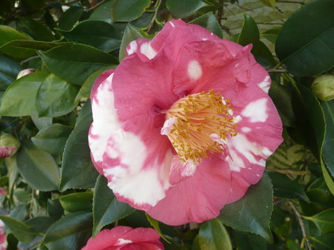 Getaway Inn Boutique Guest House - eAccommodation 2