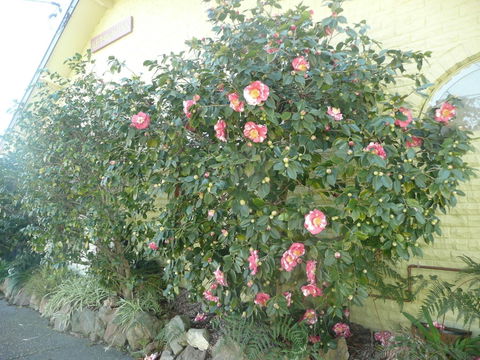 Getaway Inn Boutique Guest House - eAccommodation 1