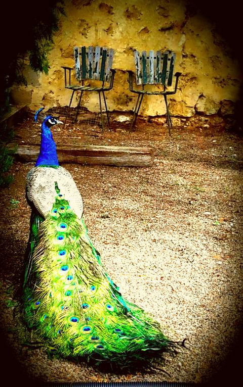 A La Folly - eAccommodation 4