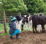 Manderley Park Farmstay B  B - eAccommodation