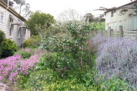Alvie Cottage - eAccommodation 1