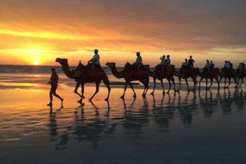 Beach House On Fox - eAccommodation 0
