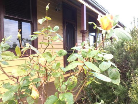 Albion Cottage - eAccommodation 4