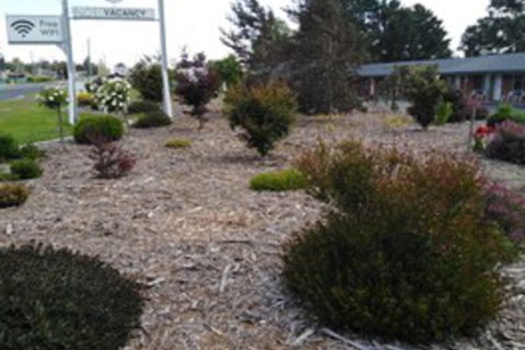 Altona Motel - eAccommodation 0