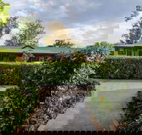 The Grapevine Motel - eAccommodation