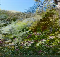 Copeland Manse - eAccommodation