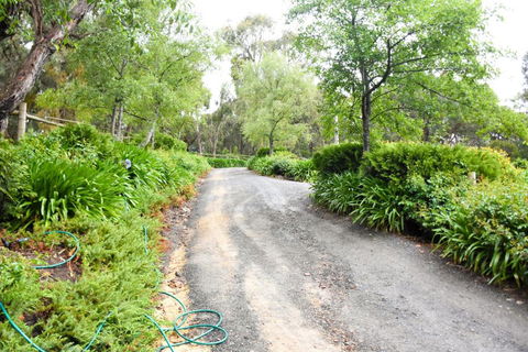 Avoca Park - eAccommodation 4