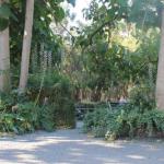 Avoca Park - eAccommodation 0