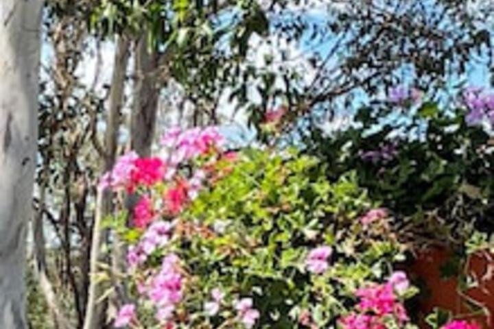 Anduramba QLD eAccommodation