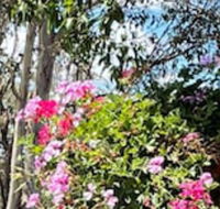 Crows Nest Motel - eAccommodation