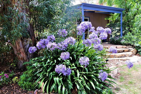 A Stanthorpe Getaway - eAccommodation 4