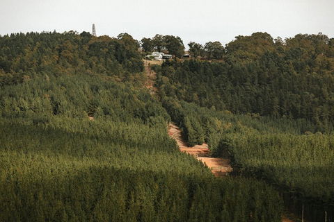 Nannup Hideaway - eAccommodation 4