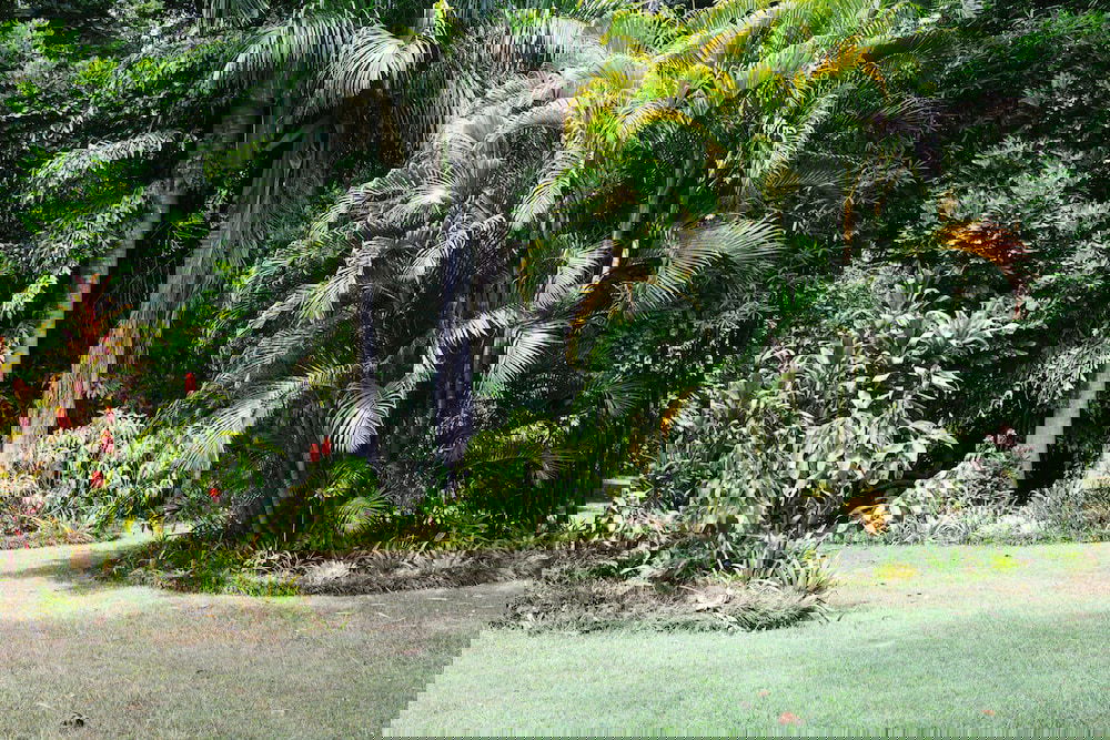 The Pocket NSW eAccommodation