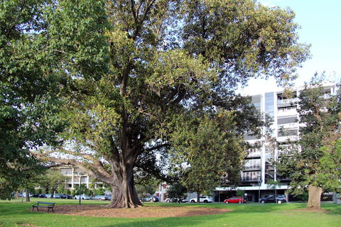 Adelaide Central Apartment - 3BR, 2Bath & Carpark - eAccommodation 1