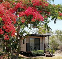 Mt Larcom Tourist Park - eAccommodation