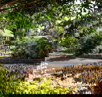 Country Comfort Bundaberg - eAccommodation