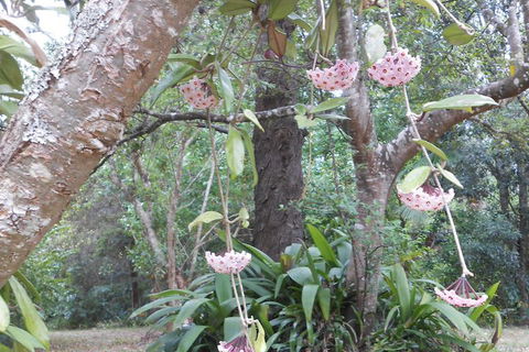 Crabbes Creek Cottages - eAccommodation 5