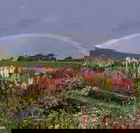 Boat Harbour Garden Cottages - eAccommodation