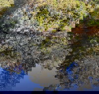 Marco Polo Motor Inn - eAccommodation