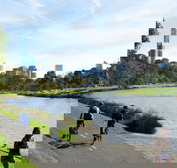 Amity Apartment Hotels - eAccommodation