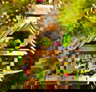 Crystal Brook Tourist Park