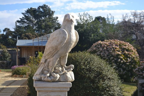 Mulberry Cottage B&B - eAccommodation 4