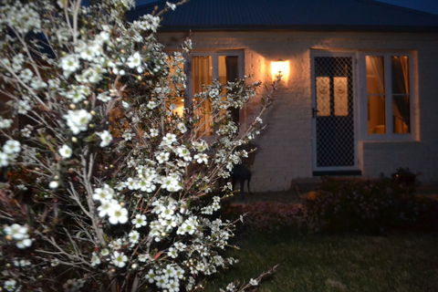 Mulberry Cottage B&B - eAccommodation 6