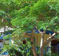 Amber Gardens Guesthouse - eAccommodation