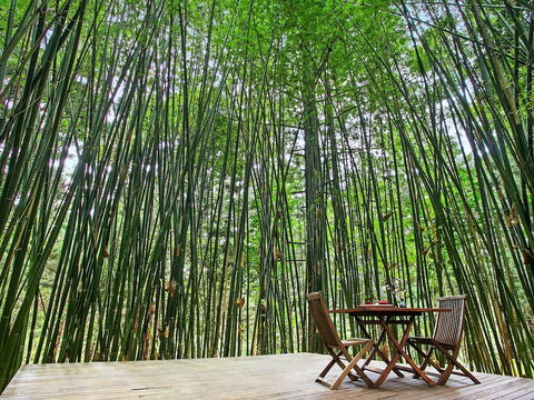Azabu Boutique Accommodation Byron Bay - eAccommodation 0