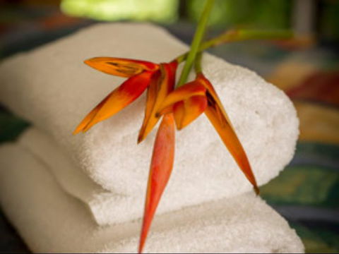 Parap Village Serviced Apartments - eAccommodation 1