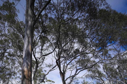 Rocky Hills Retreat - eAccommodation 7