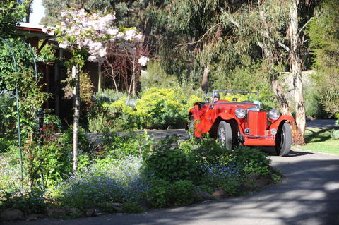 Wintarni Olives Cottage - eAccommodation 1